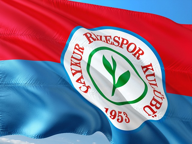 手在防守上 手在防守上