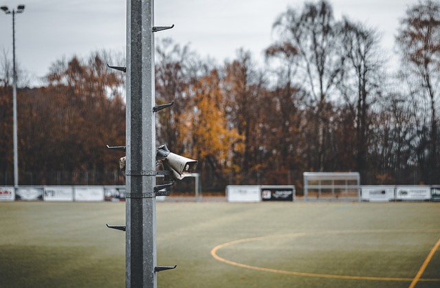 的一部分 的一部分