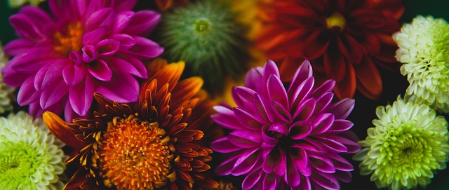 掌握主动权 掌握主动权