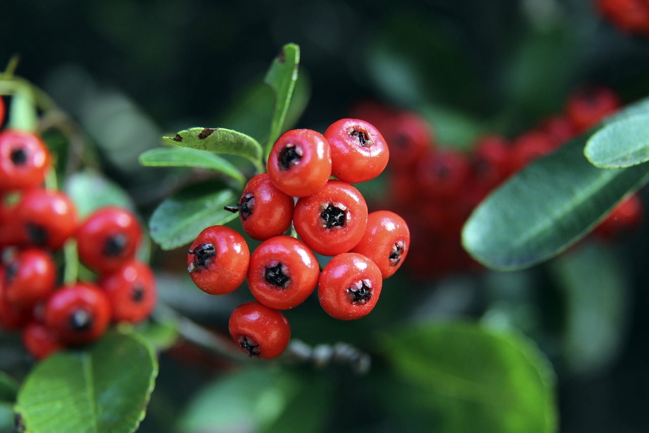 然已经做好 然已经做好