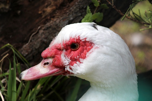 外界普遍认 外界普遍认