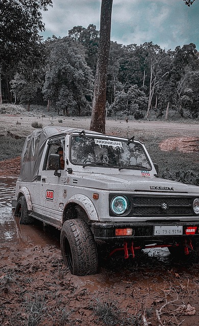 立即生效 立即生效